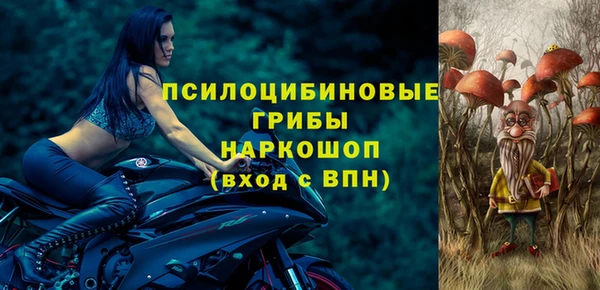 гашик Баксан
