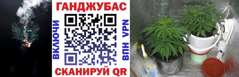 закладки Шацк маркетплейс какой сайт МАРИХУАНА сатива